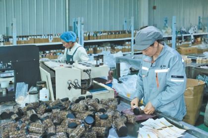 岷縣電商訂單生產忙，互聯網銷售開辟致富新路