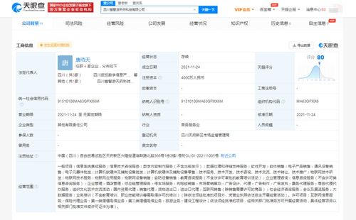 數(shù)字內(nèi)容制作服務(wù) 在信息洪流中塑造品牌聲音與價值